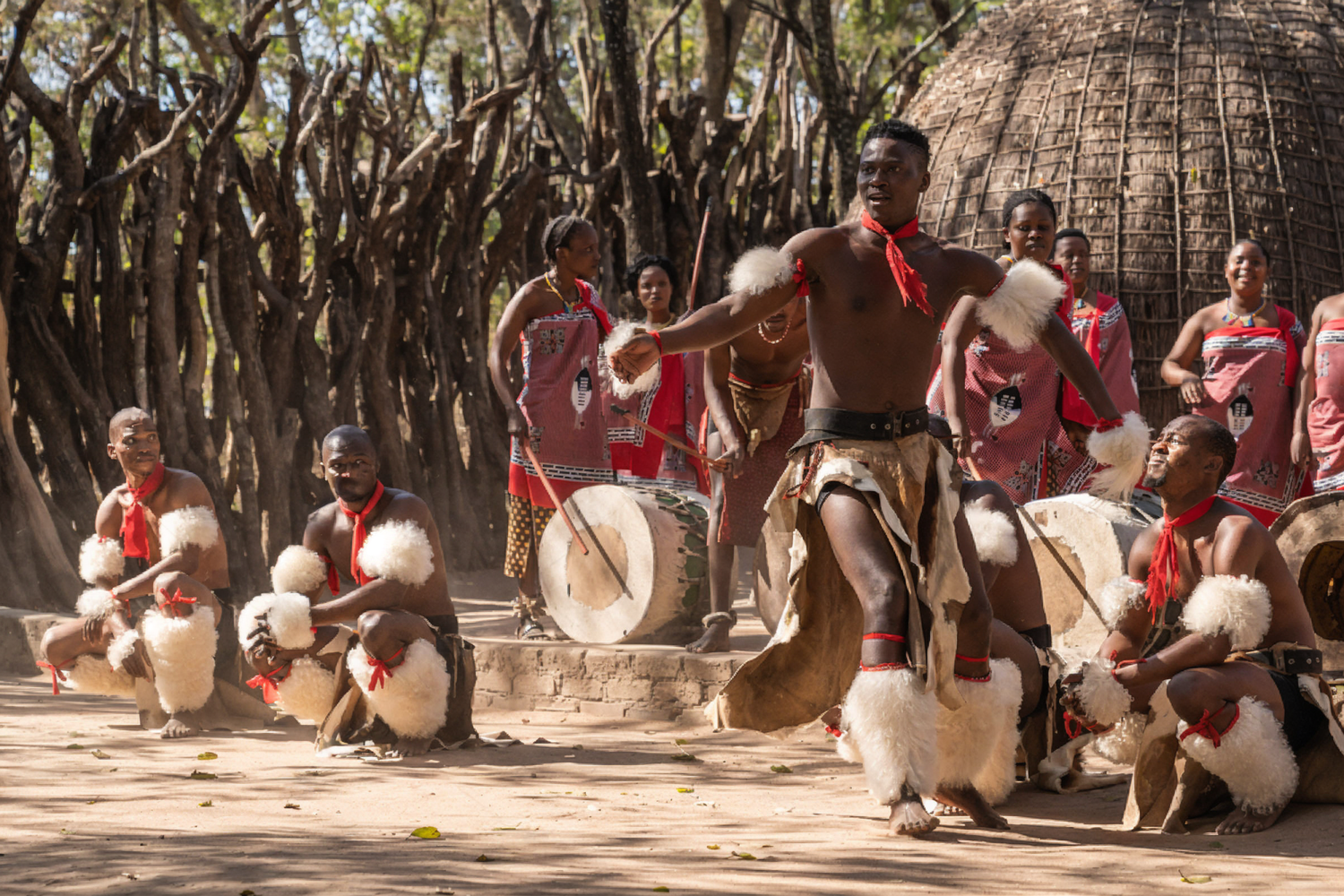 Cultural dance