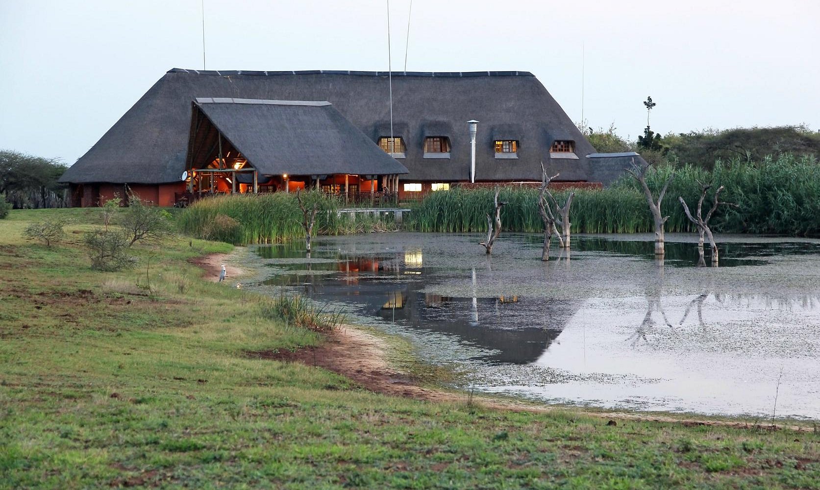 Safari Lodges
